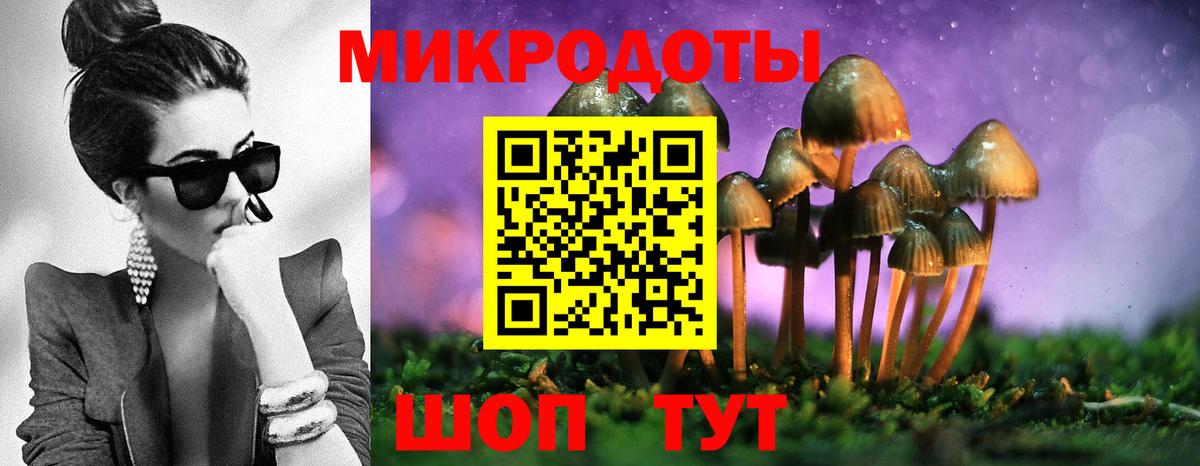 Ступино  Псилоцибиновые грибы Cubensis  Вход с VPN 